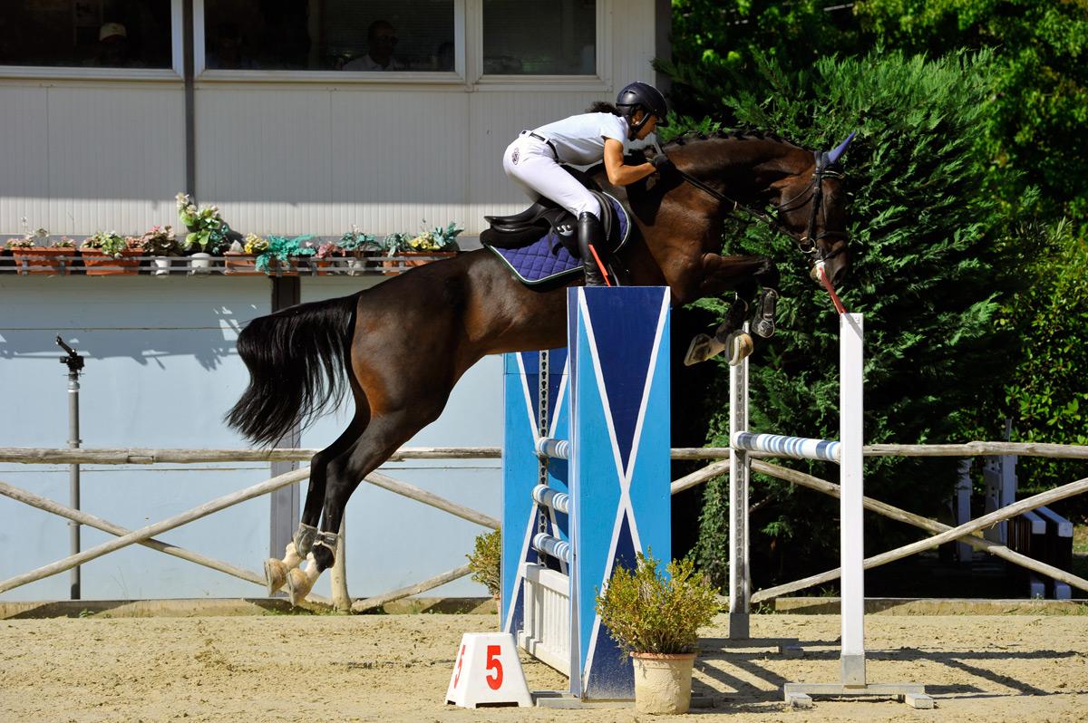 Circuito Assi: Pistoia Equestrian Centre